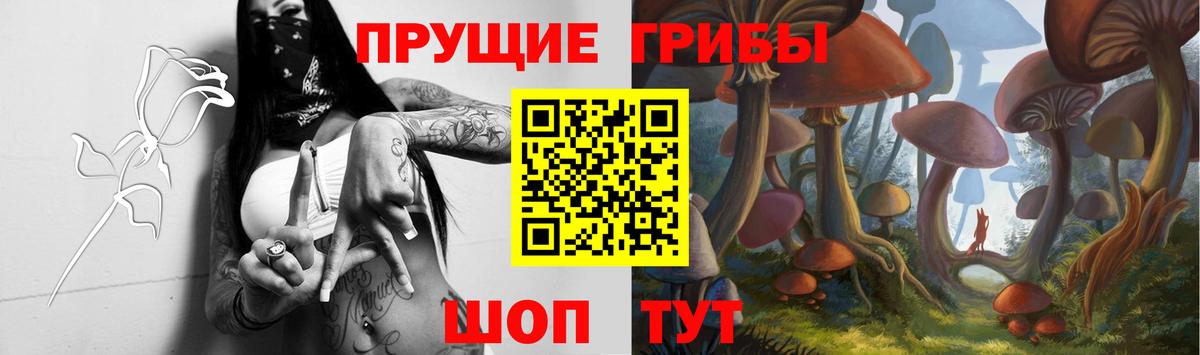 Псилоцибиновые грибы мицелий Лениногорск